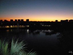 Florida_2007-2008-021